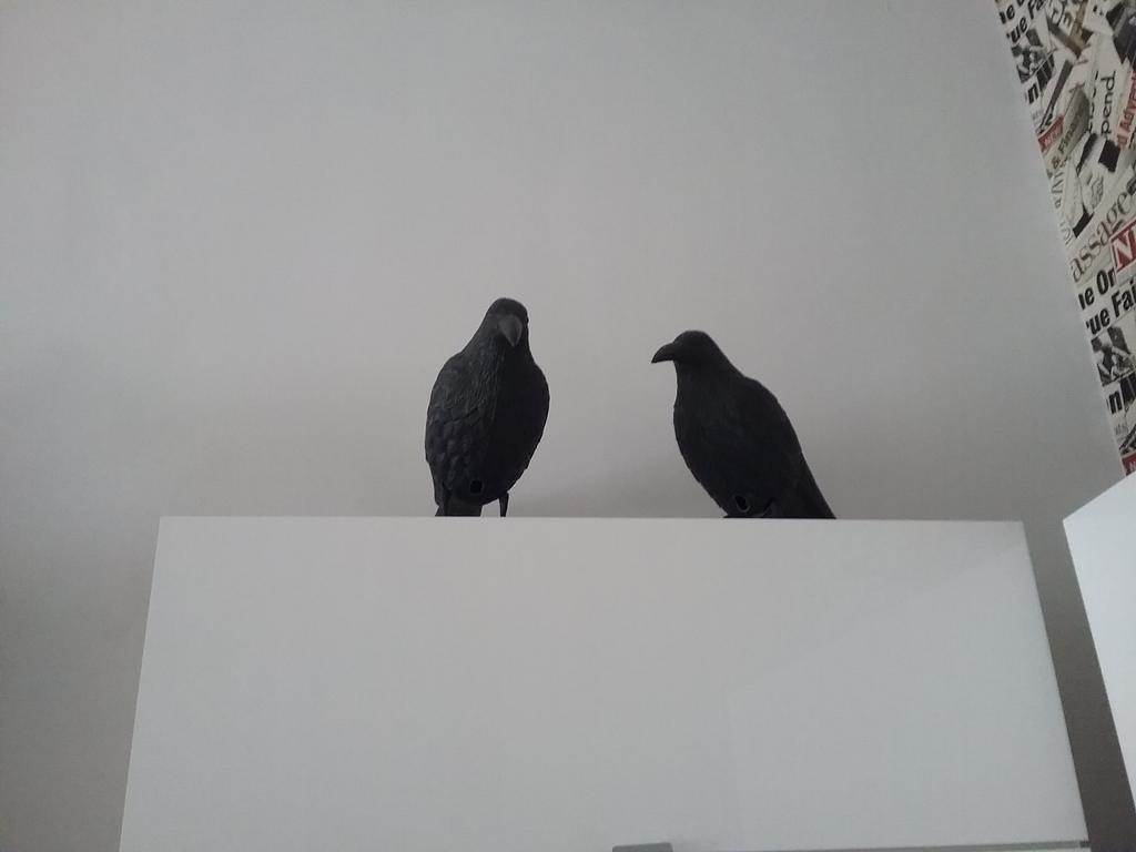 Apartament Pod Wrona Stary Toruń Εξωτερικό φωτογραφία